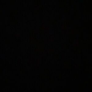 Meet your Posher, Annabelle